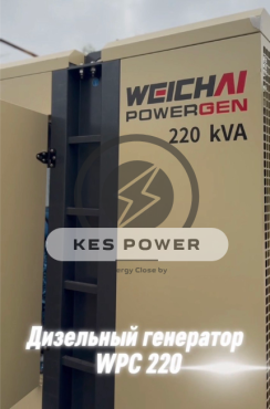 Дизельный генератор WPG 220 в кожухе для школы в Туркестанской области